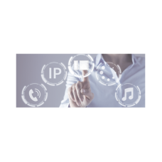 Millennum IP Soft lite Software de Gestion Millennum IP Soft lite Software de Gestion