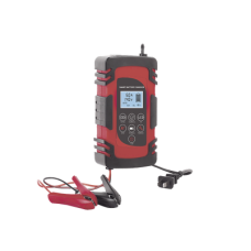 Cargador de Baterías / 12 o 24 Vcc / hasta 40 Ah / 2, 4 o 6 A / Display LCD