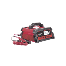 Cargador de Baterías / 12 o 24 Vcc / hasta 250 Ah / 25 A / Display LCD
