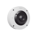 IA Fisheye IP 12 Megapixel / WDR 120dB / Deteccion de personas con IA / NEMA 4X / IP66 / IK10 