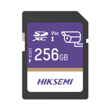 Memoria SD Clase 10 de 256 GB / Especializada Para Videovigilancia