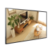 Pantalla LED 4K de 43