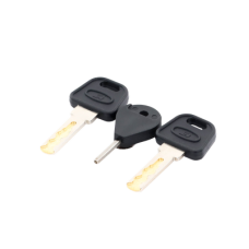 Llave de Puerta de Estación de Panico DS-PEA3M-21 / DS-PEA3M-21Hï»¿ (Repuesto)