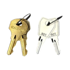 Kit De Llaves De Repuesto y Acceso Para Gabinetes FireNet, FireNet Plus y FireNet L@titude (0100-03380) Kit De Llaves De Repuesto y Acceso Para Gabinetes FireNet, FireNet Plus y FireNet L@titude (0100-03380)