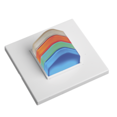 Luz de Aviso para Hospital, Cuatri color para Indicar Presencias o Alarmas en Habitación / BUS RS485 / Compatible con NX0019/B, NX1021 y NX0015