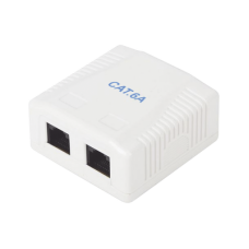 Caja de Pared con 2 Puertos, Incluye 2 Jacks UTP Cat6A