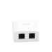 Caja de Pared con 2 Puertos, Incluye 2 Jacks UTP Cat6A