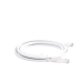 Cable de Parcheo UTP Cat6 - 2 Metros (6.56 Pies) - Blanco