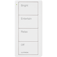 Control remoto inalambrico PICO, con escenas predefinidas para espacio en sala..