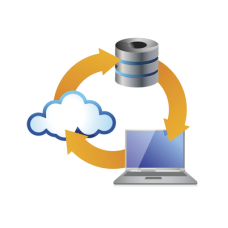Licencia, Respaldo (base de datos) tipo espejo de información para el software de monitoreo Securithor v2, versiones STPLUS, ST1V2 y STSV2. Licencia, Respaldo (base de datos) tipo espejo de información para el software de monitoreo Securithor v2, versiones STPLUS, ST1V2 y STSV2.
