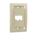 Placa de Pared Vertical Ejecutiva, Salida Para 2 Puertos Mini-Com, Con Espacios Para Etiquetas, Color Marfil
