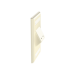 Placa de Pared Vertical Clásica, Salida Para 2 Puertos Mini-Com Inclinados, Con Espacios Para Etiquetas, Color Marfil