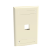 Placa de Pared Vertical, Salida Para 1 Puerto Keystone, Con Espacios Para Etiquetas, Color Marfil