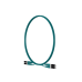 Jumper de Fibra Optica Multimodo 50/125 OM4, LC-LC Duplex, LSZH, Color Aqua, 2 Metros (6.56 Pies)