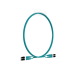 Jumper de Fibra Optica Multimodo 50/125 OM4, LC-LC Duplex, LSZH, Color Aqua, 2 Metros (6.56 Pies)