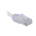 Cable de Parcheo UTP, Cat6A, Diámetro Reducido (28 AWG), CM/LSZH, Color Blanco Mate, 20.3 cm (8 Pulgadas)