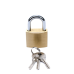 Candado de Latón Cuerpo 30 x 30 mm Con 3 Llaves. Diam. de Perno: 5.2 mm