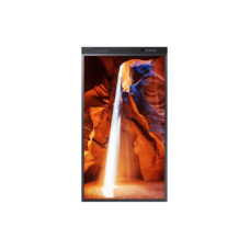 Pantalla Dual Profesional / 55 Pantalla Dual Profesional / 55