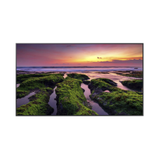 Pantalla Profesional LED de 65 Pantalla Profesional LED de 65