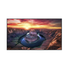 Pantalla Profesional LED de 75 Pantalla Profesional LED de 75