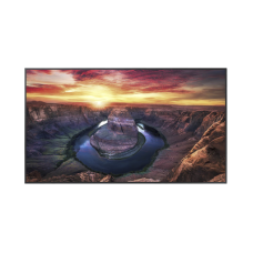 Pantalla Profesional de 98 Pantalla Profesional de 98