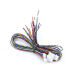 Juego de cables de conexion para Biostation 2